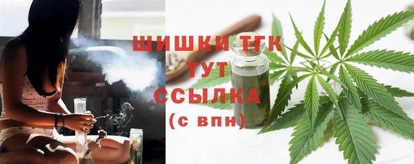 стаф Касимов
