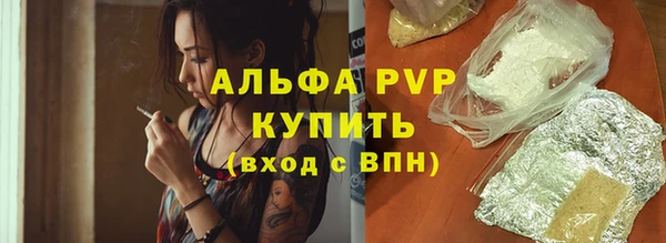стаф Касимов