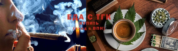 стаф Касимов