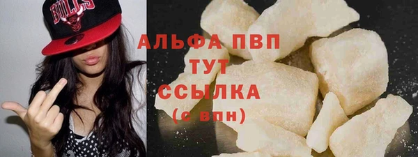 стаф Касимов