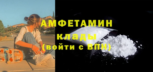 стаф Касимов