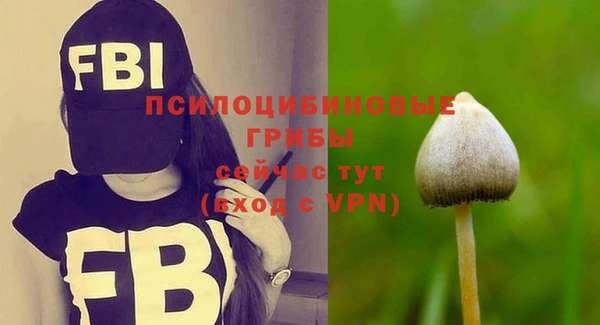 синтетический гашиш Карпинск