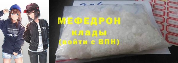 стаф Касимов