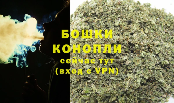 стаф Касимов
