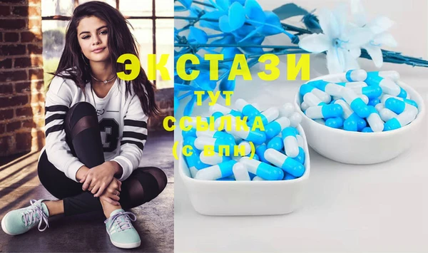 стаф Касимов