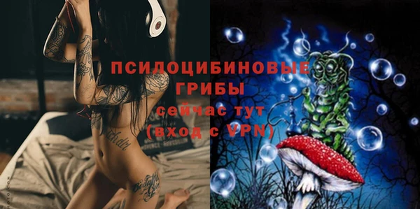 синтетический гашиш Карпинск