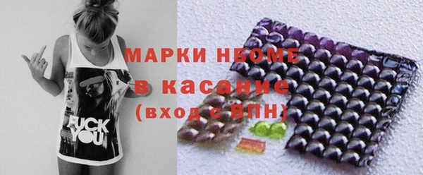 стаф Касимов
