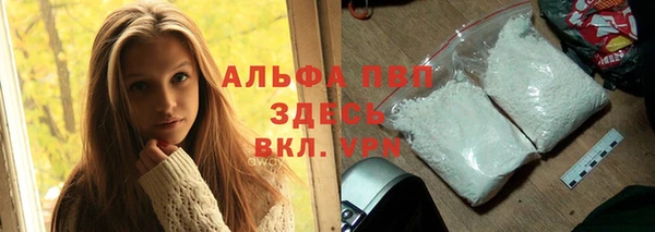 стаф Касимов