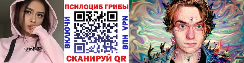 Купить где  Красноуральск  Псилоцибиновые грибы мицелий 
